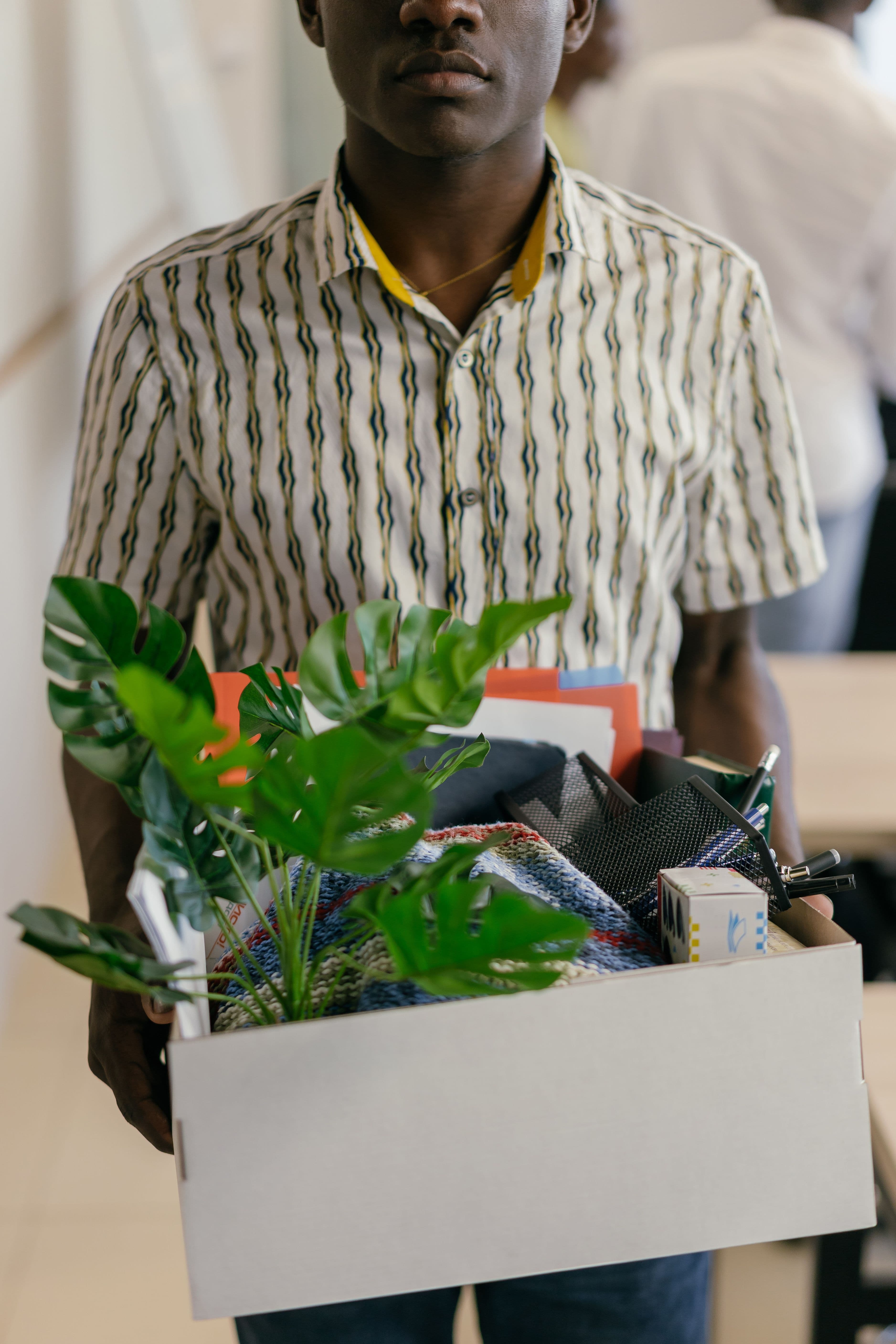Office moves in San Jose, California